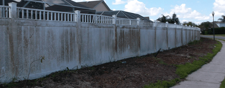 Serving Tampa Bay with Pride