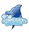 Hammerhead Softwash